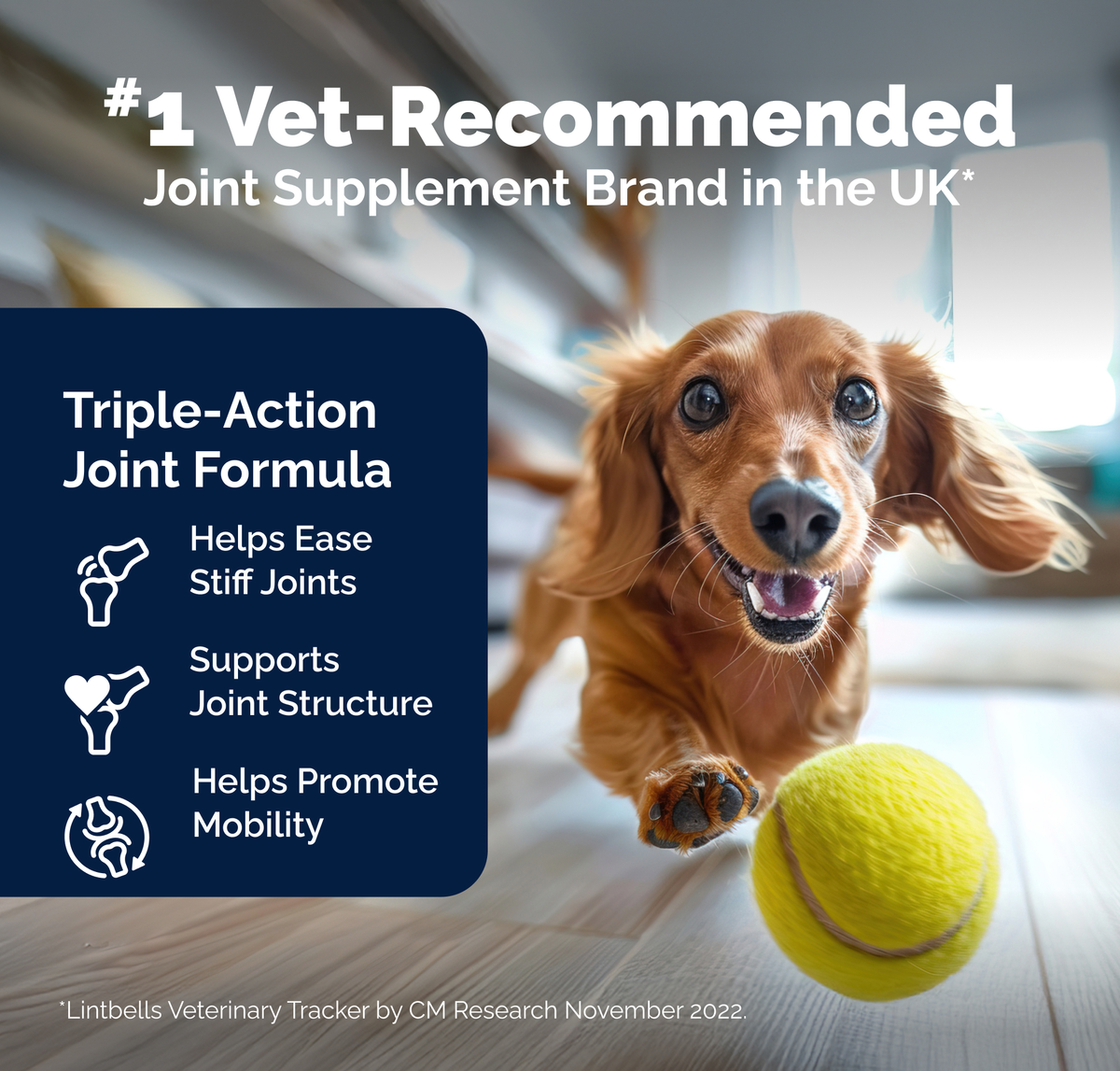 YuMOVE Advanced Vet Strength Hip & Joint Health Tablets