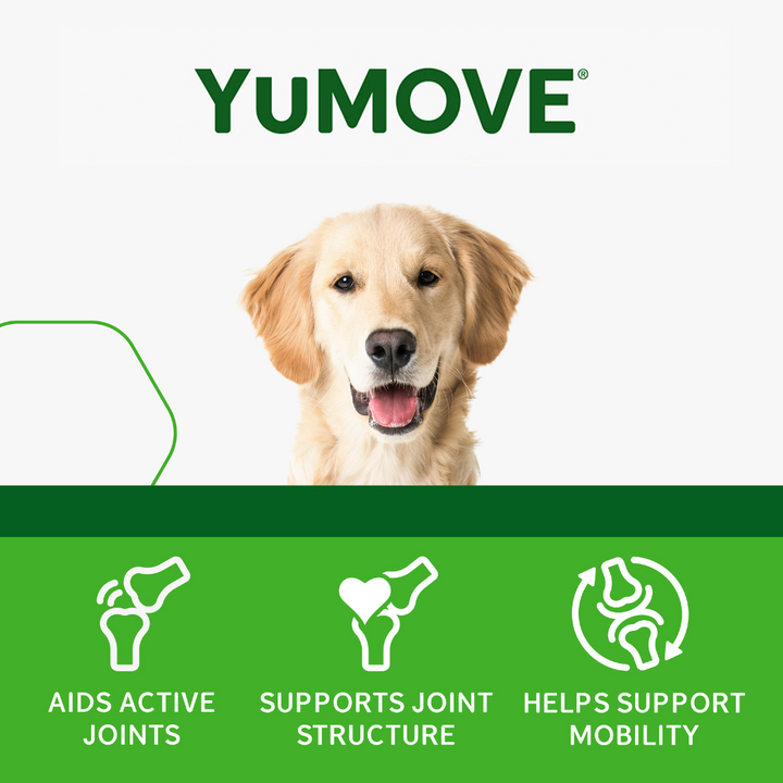 YuMOVE Joint Supplement for Younger Dogs I Tablets