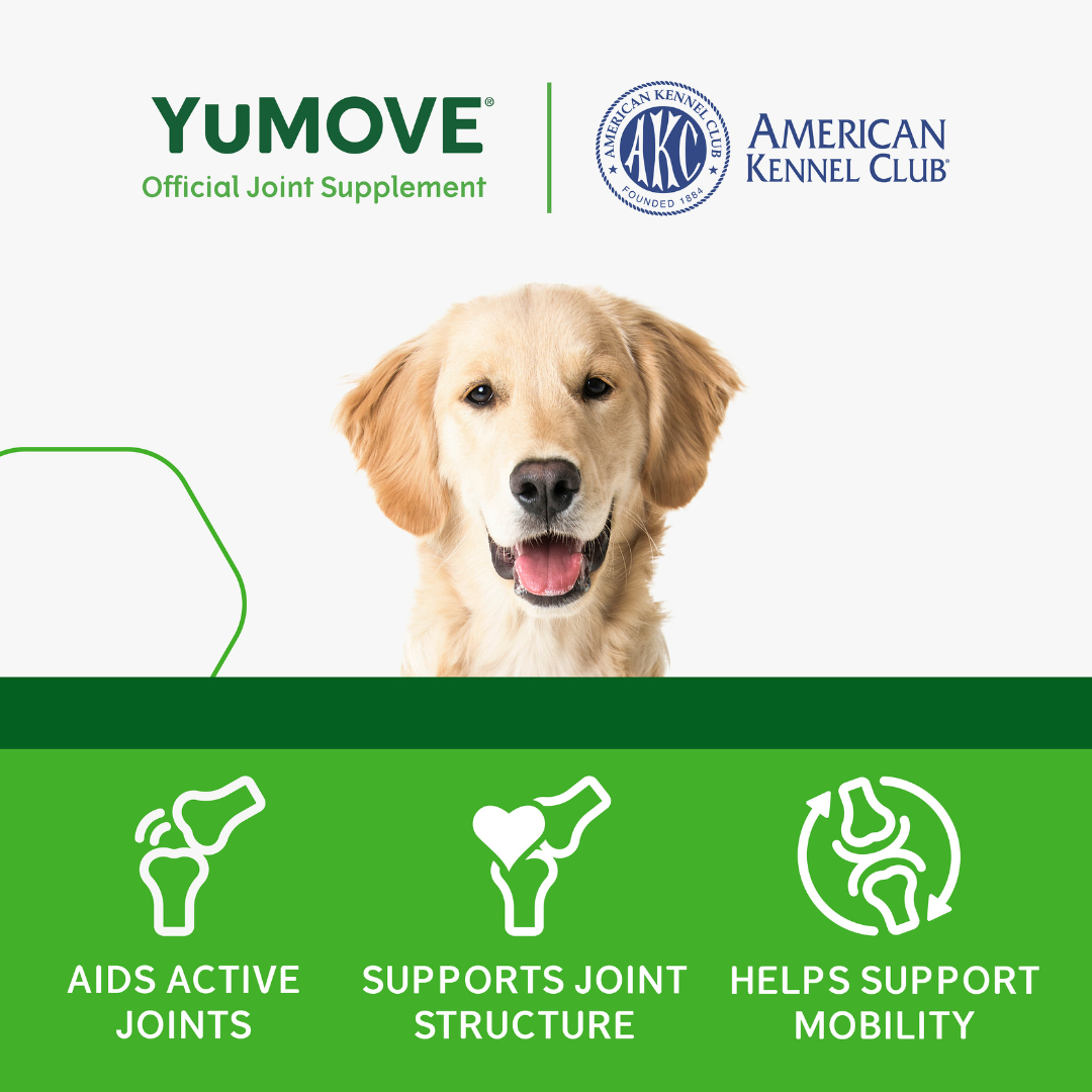 YuMOVE Joint Supplement for Younger Dogs I Tablets