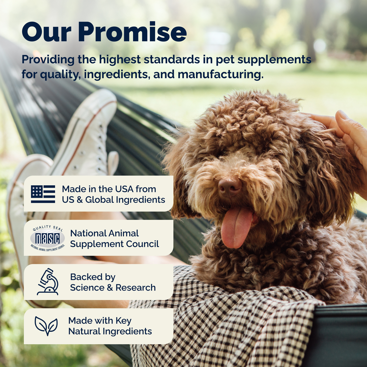 DermaBliss™ Seasonal Allergy Health & Immune Soft Chews for Dogs