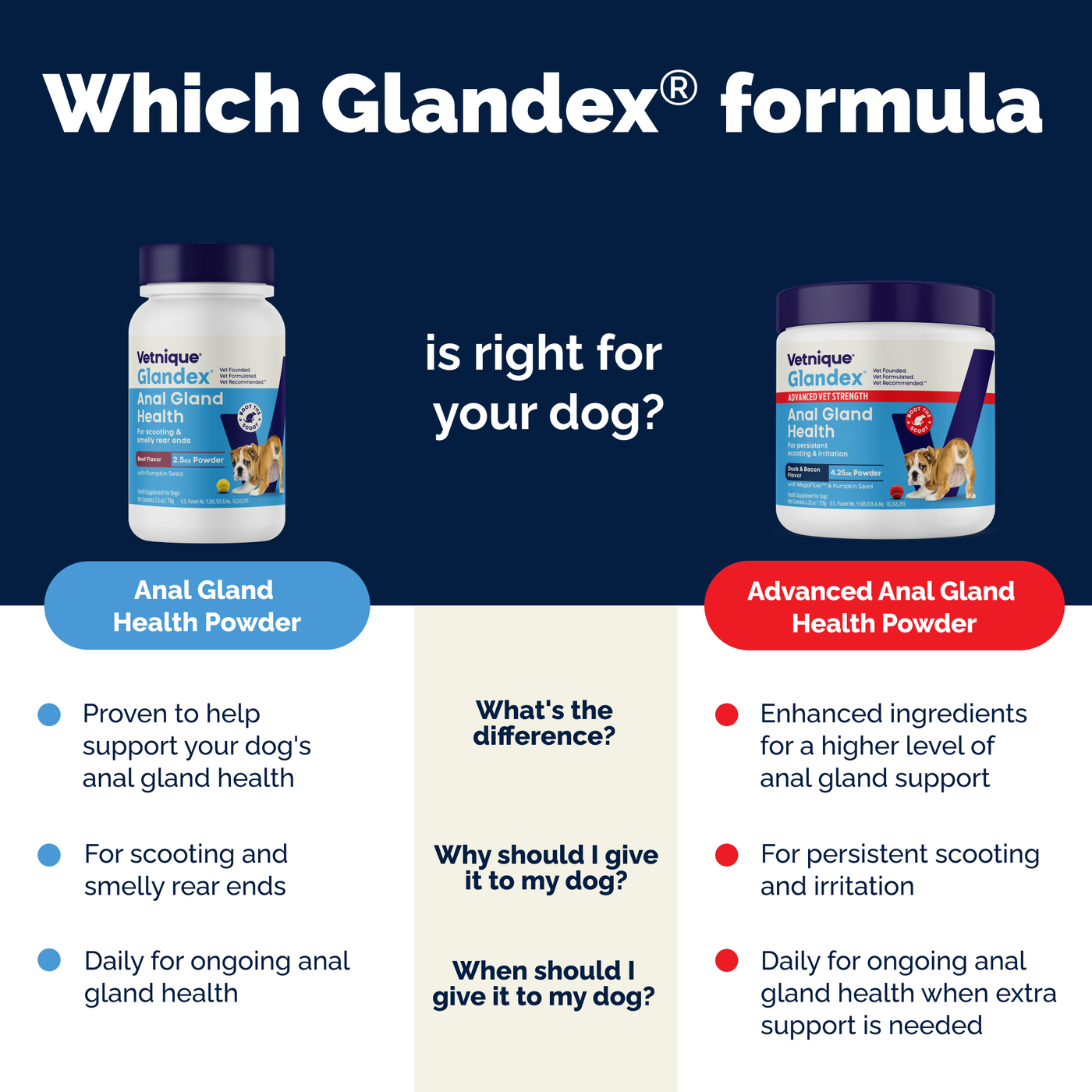 Glandex® Anal Gland Health Powder Supplement for Dogs & Cats