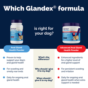 Glandex® Anal Gland Health Powder for Dogs & Cats