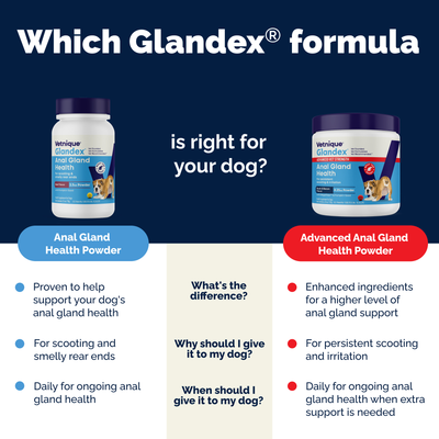 Glandex® Anal Gland Health Powder Supplement for Dogs & Cats