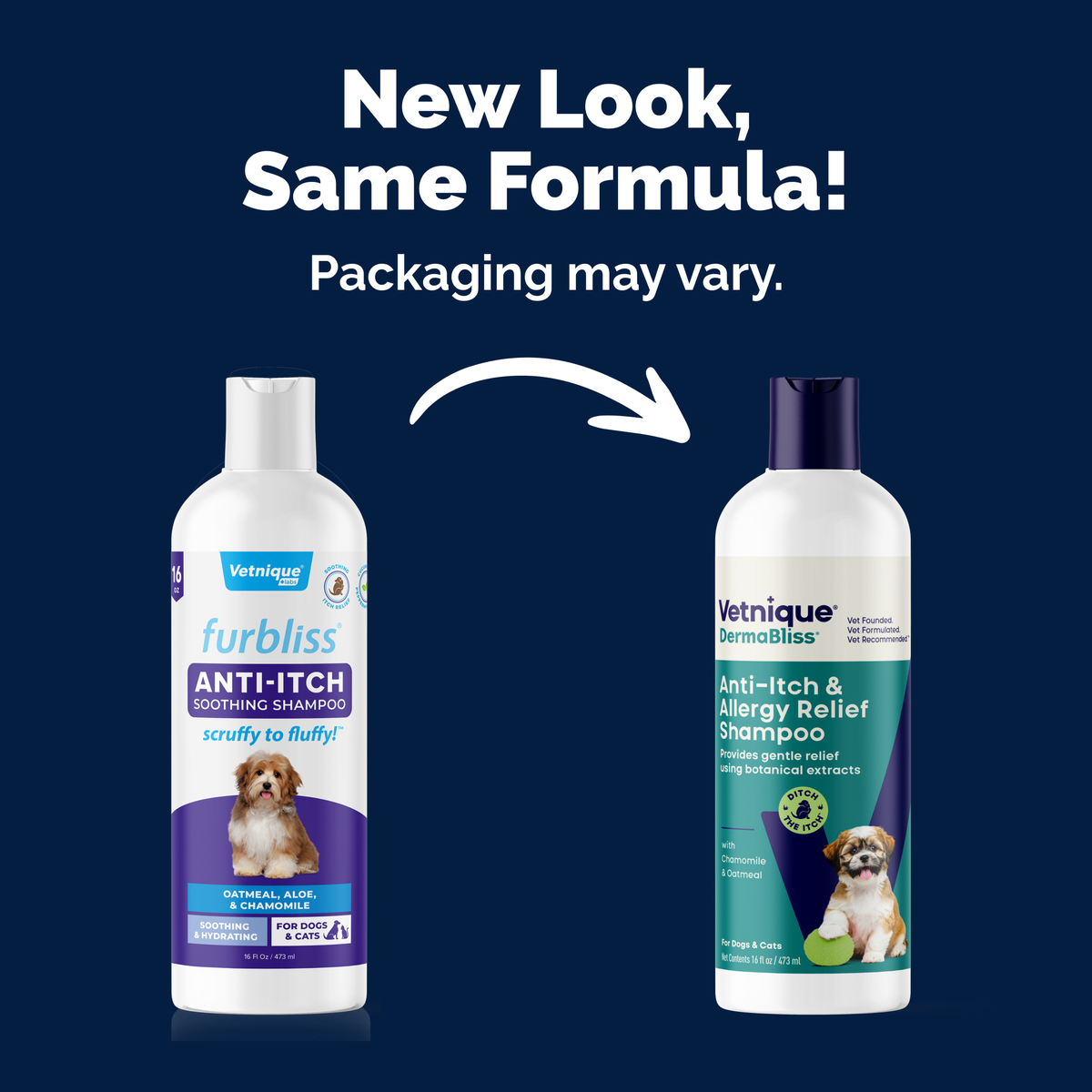 DermaBliss® Anti-Itch & Allergy Relief Shampoo