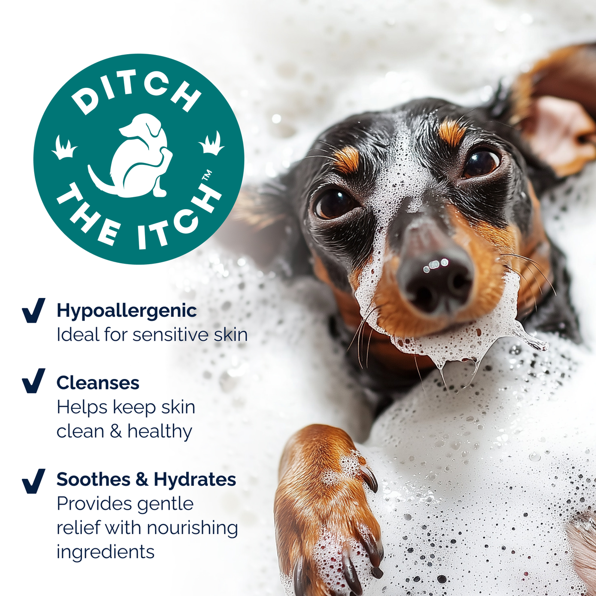 DermaBliss® Anti-Itch & Allergy Relief Shampoo