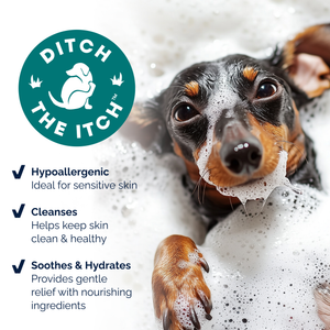 DermaBliss® Anti-Itch & Allergy Relief Shampoo