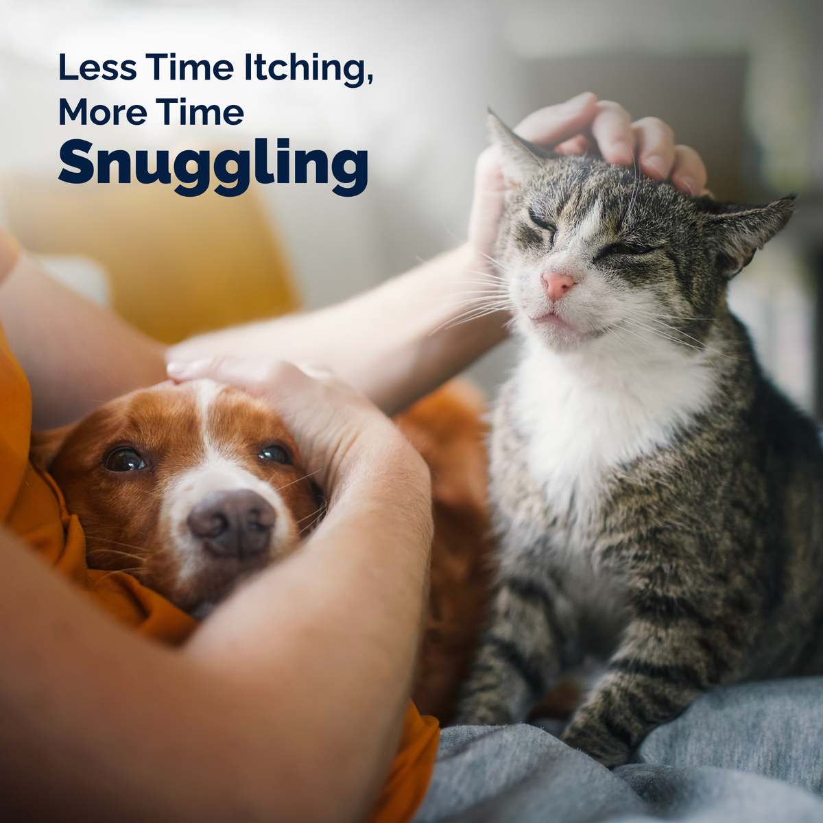 DermaBliss® Anti-Itch & Allergy Relief Shampoo