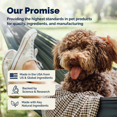 DermaBliss® Grooming Body Wipes