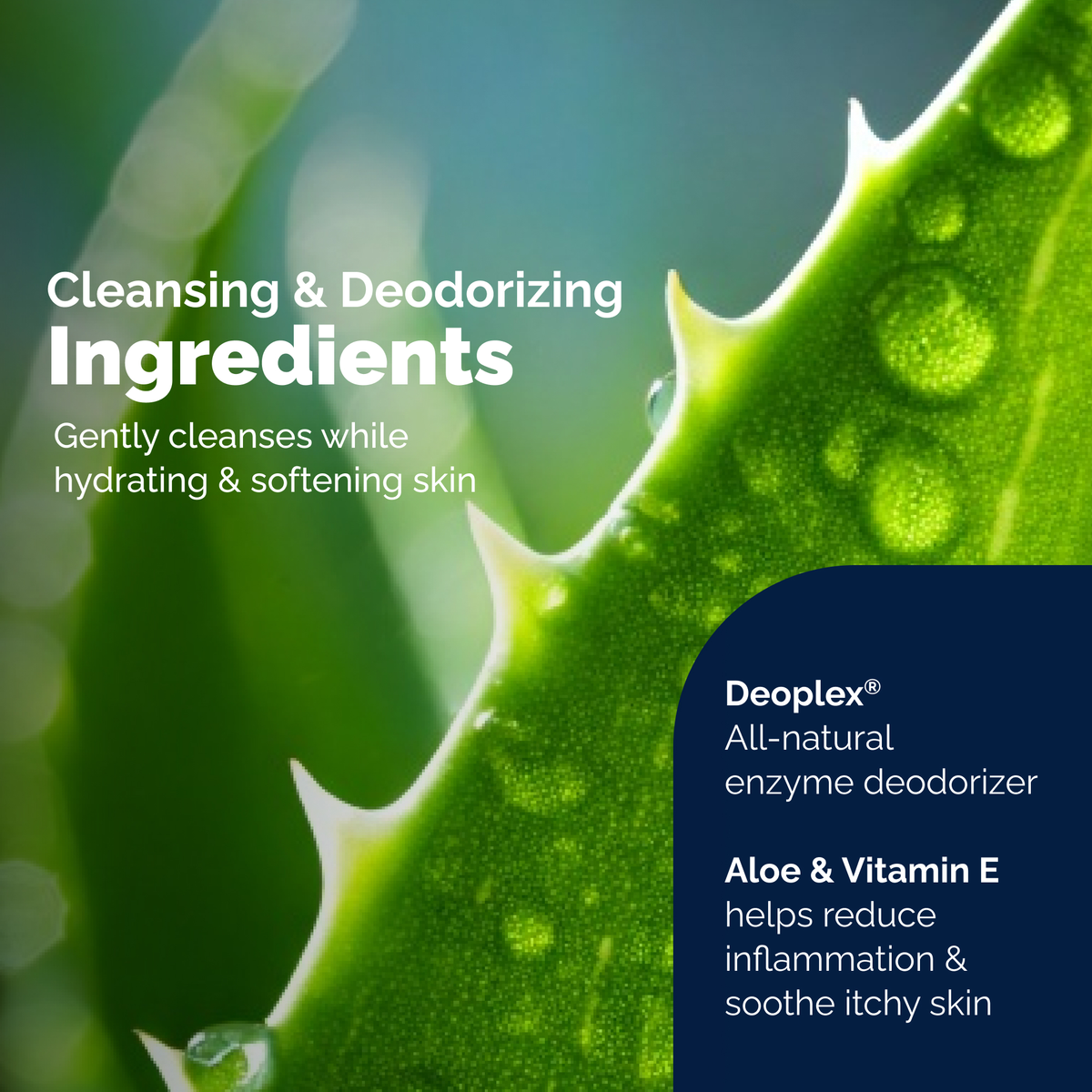 DermaBliss® Grooming Body Wipes