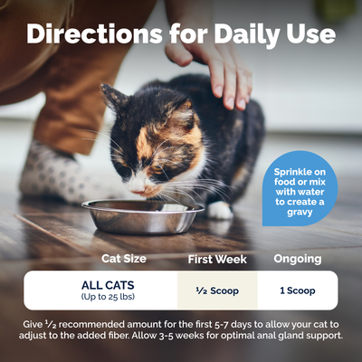 Glandex® Cat Anal Gland Supplement with Pumpkin - 4.0 oz