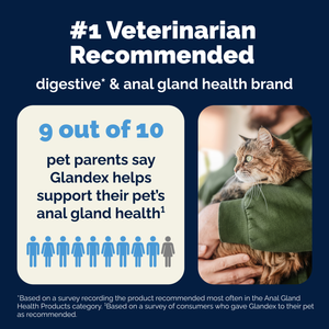 Glandex® Cat Anal Gland Health Supplement with Pumpkin
