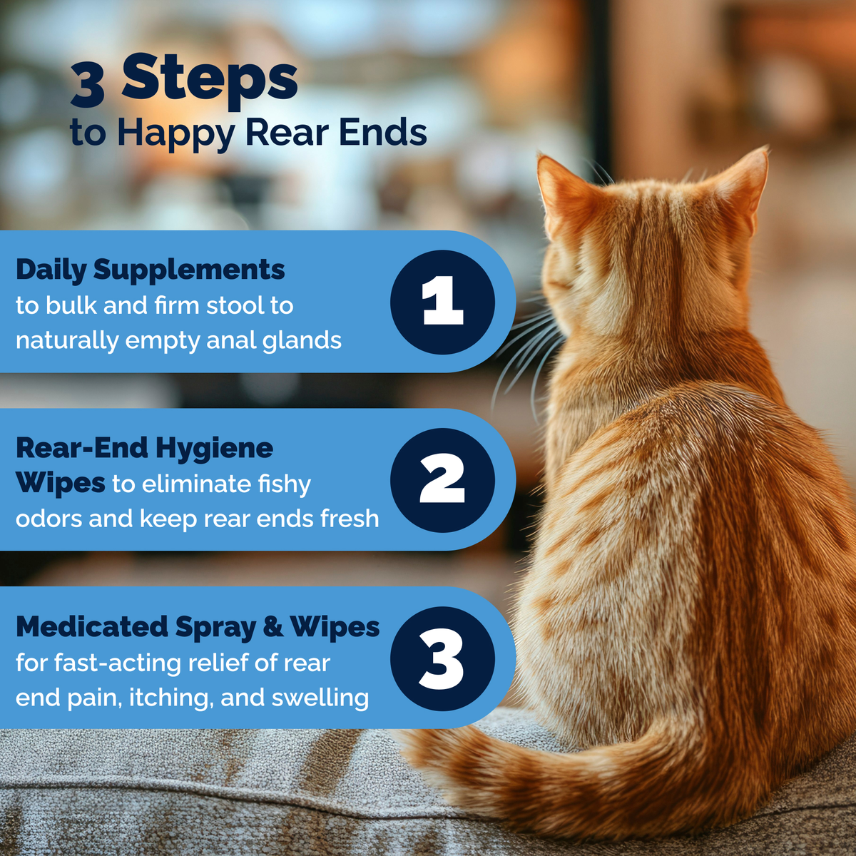 Glandex® Cat Anal Gland Health Supplement with Pumpkin