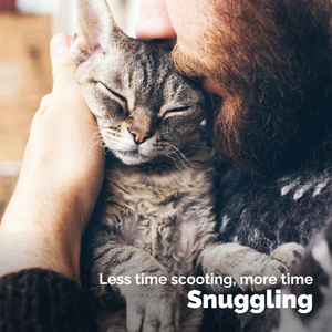 Glandex® Cat Anal Gland Health Supplement with Pumpkin