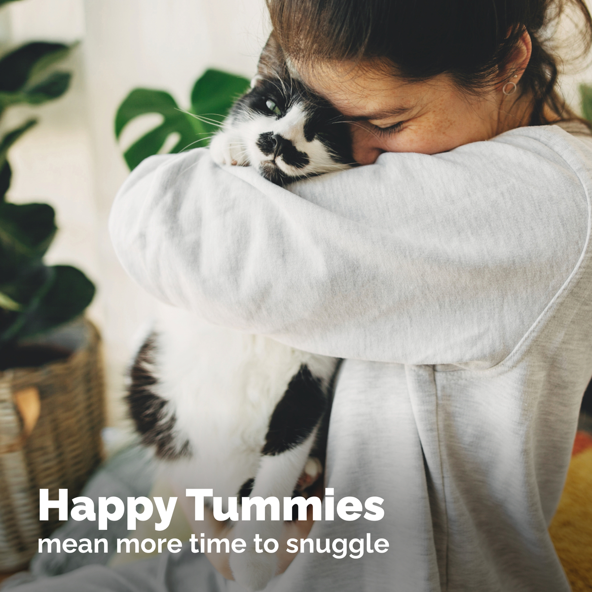 Glandex Daily Prebiotic & Probiotic Powder for Cats