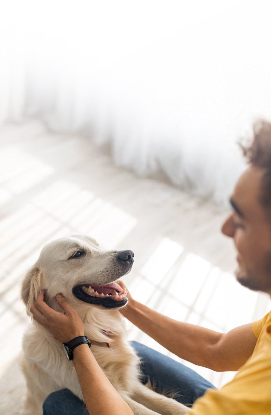 Person petting a white dog indoors with a bright background