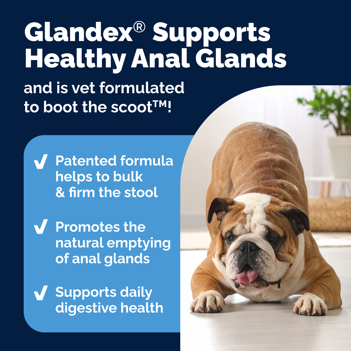 Glandex® Advanced Vet Strength Anal Gland Health Chews for Dogs