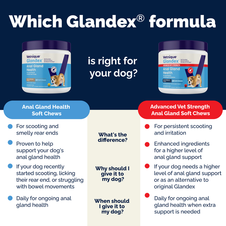 Glandex® Advanced Anal Gland Chews for Dogs