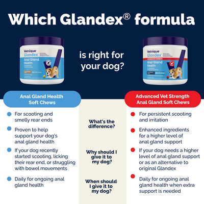 Glandex® Advanced Anal Gland Chews for Dogs