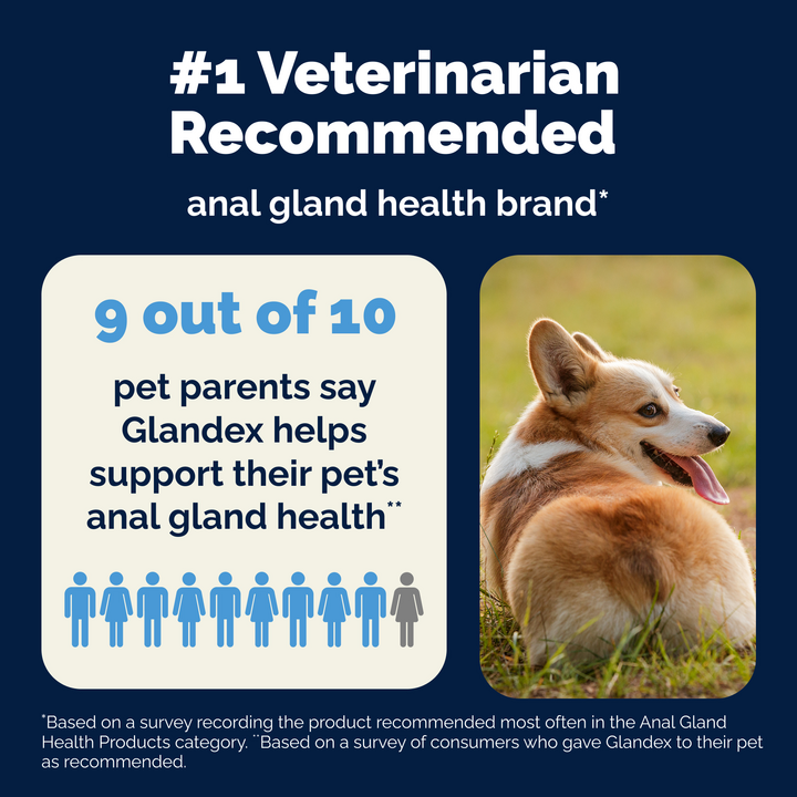 Glandex® Advanced Anal Gland Chews for Dogs