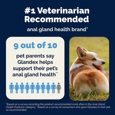 Glandex® Advanced Anal Gland Chews for Dogs