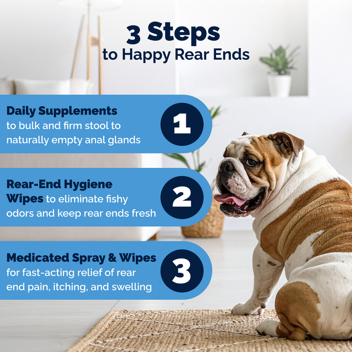 Glandex® Advanced Anal Gland Chews for Dogs