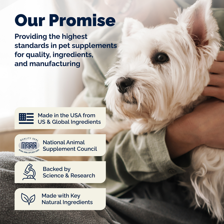 Glandex® Advanced Anal Gland Chews for Dogs