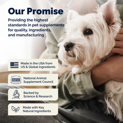Glandex® Advanced Anal Gland Chews for Dogs