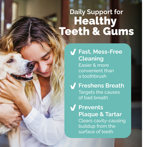 DentaBliss Daily Dental Wipes Finger Mitts