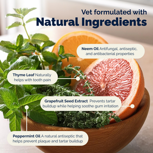 DentaBliss Daily Dental Wipes Finger Mitts