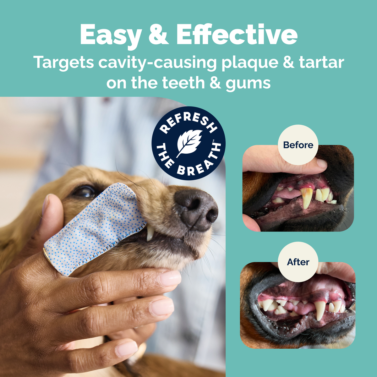 DentaBliss Daily Dental Wipes Finger Mitts