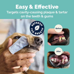 DentaBliss Daily Dental Wipes Finger Mitts