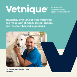 DentaBliss Daily Dental Wipes Finger Mitts