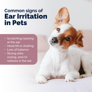 OticBliss™ Ear Cleaning Finger Mitts