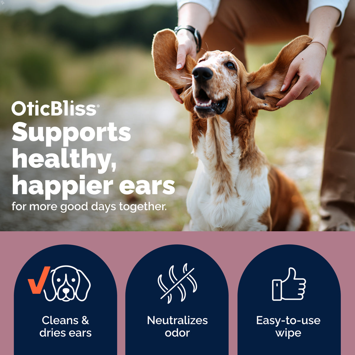 OticBliss™ Ear Cleaning X-Large Wipes