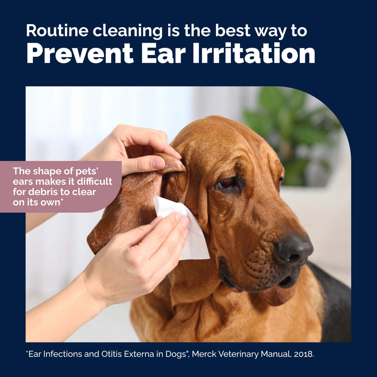 OticBliss™ Ear Cleaning X-Large Wipes