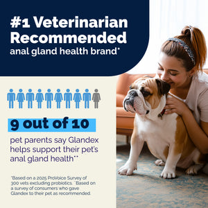 Glandex® Advanced Vet Strength Anal Gland Health Soft Chews for Dogs