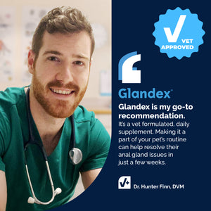 Glandex® Advanced Vet Strength Anal Gland Health Soft Chews for Dogs