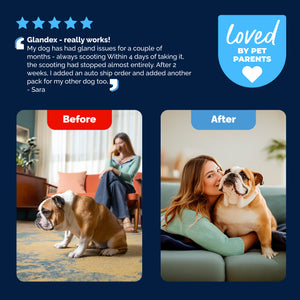 Glandex® Advanced Vet Strength Anal Gland Health Soft Chews for Dogs