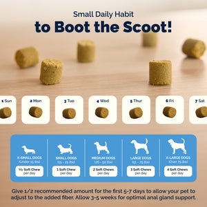 Glandex® Advanced Vet Strength Anal Gland Health Soft Chews for Dogs