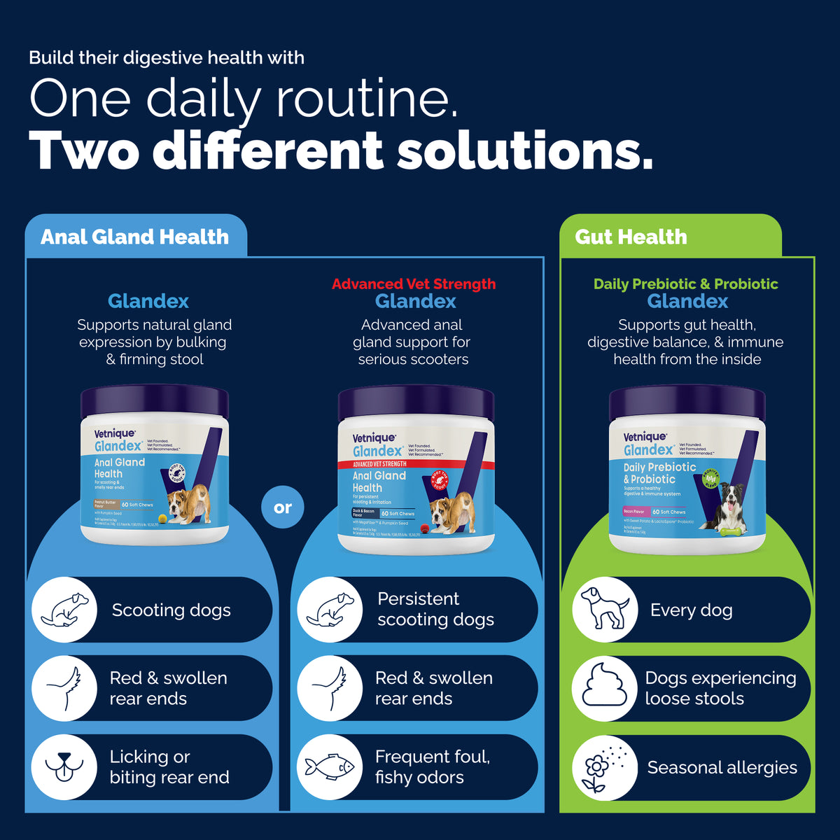 Glandex® Advanced Vet Strength Anal Gland Health Soft Chews for Dogs