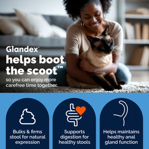 Glandex® Cat Anal Gland Health Supplement with Pumpkin