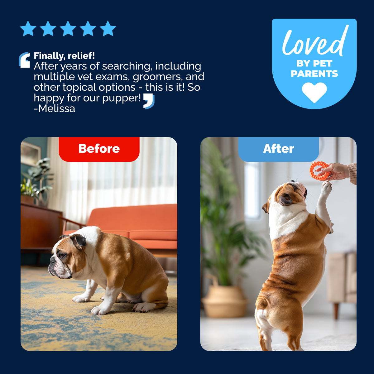 Glandex® Advanced Vet Strength  Anal Gland Spray or Wipes