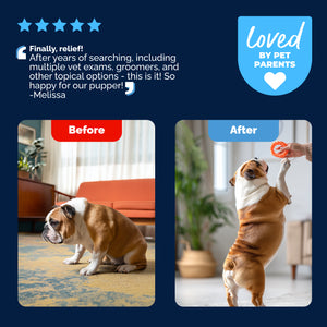 Glandex® Advanced Vet Strength  Anal Gland Spray or Wipes