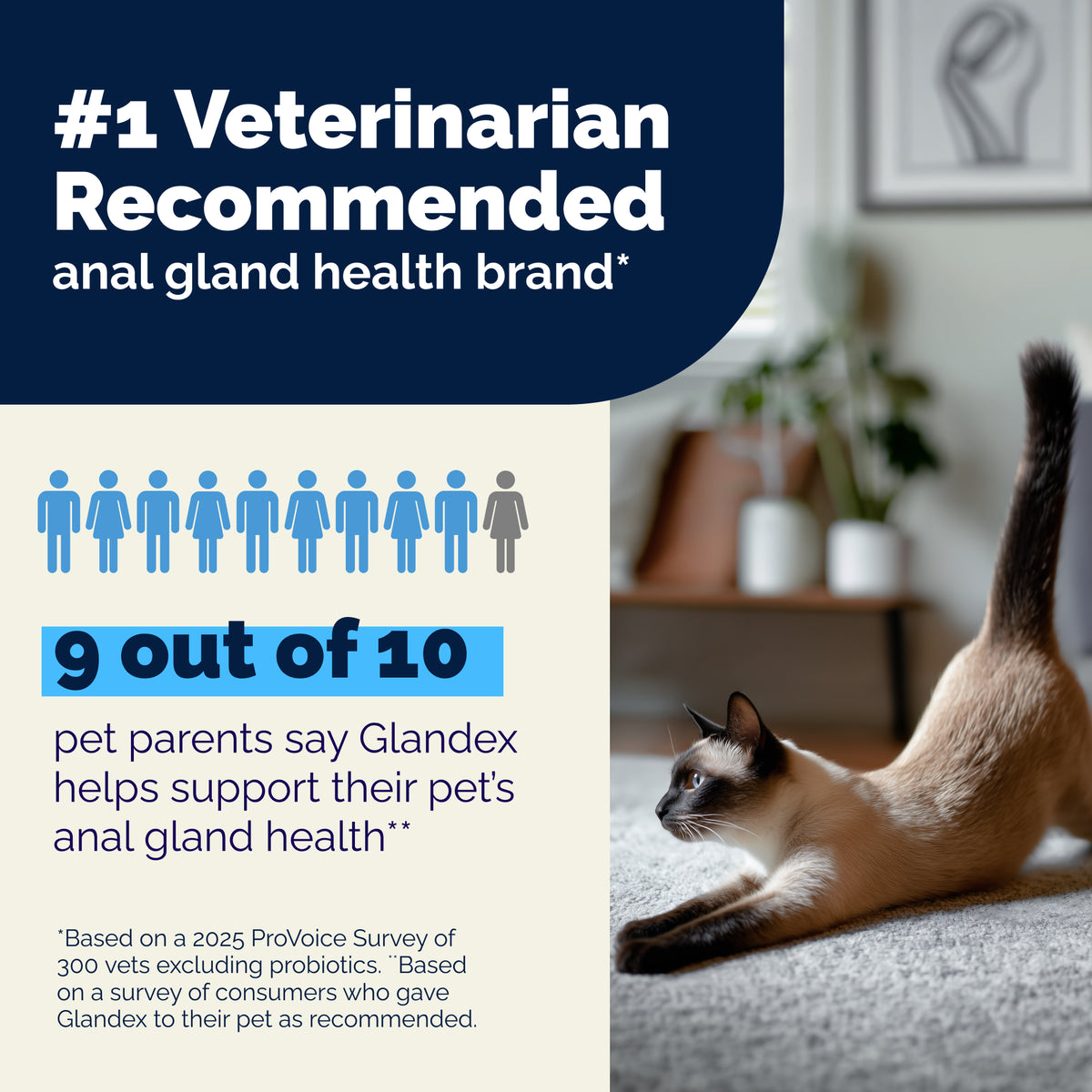 Glandex® Cat Anal Gland Health Supplement with Pumpkin