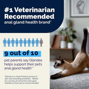 Glandex® Cat Anal Gland Health Supplement with Pumpkin