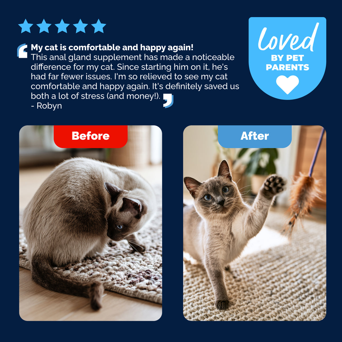Glandex® Cat Anal Gland Health Supplement with Pumpkin