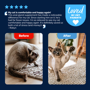 Glandex® Cat Anal Gland Health Supplement with Pumpkin