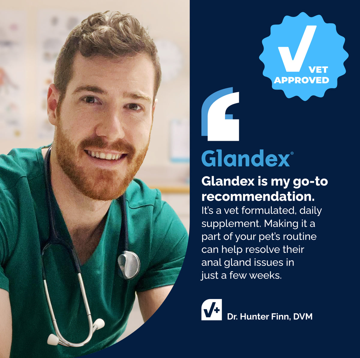 Glandex® Anal Gland Health Soft Chews for Dogs