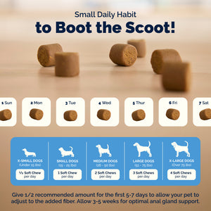 Glandex® Anal Gland Health Soft Chews for Dogs