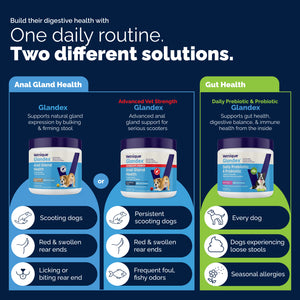 Glandex® Anal Gland Health Soft Chews for Dogs